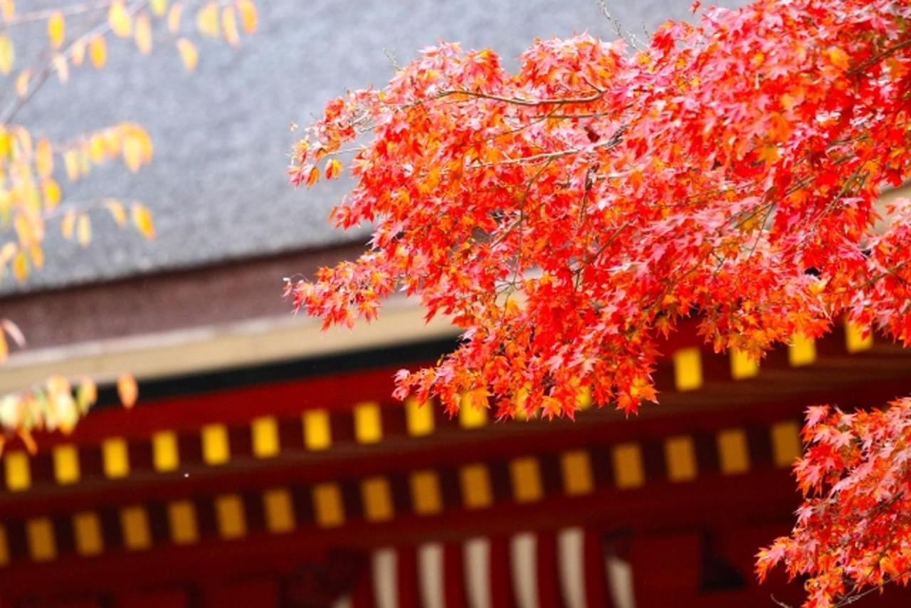 Stay Sakura Kyoto Kiyomizu Ougi Quioto Exterior foto